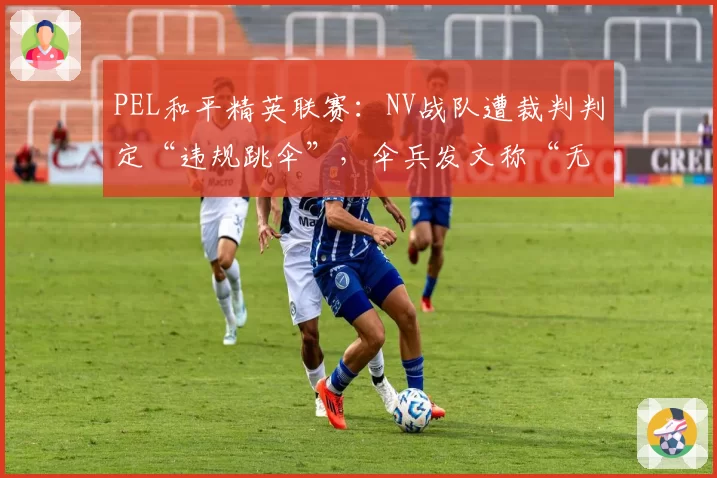 PEL和平精英联赛:NV战队遭裁判判定“违规跳伞”,伞兵发文称“无法接受”