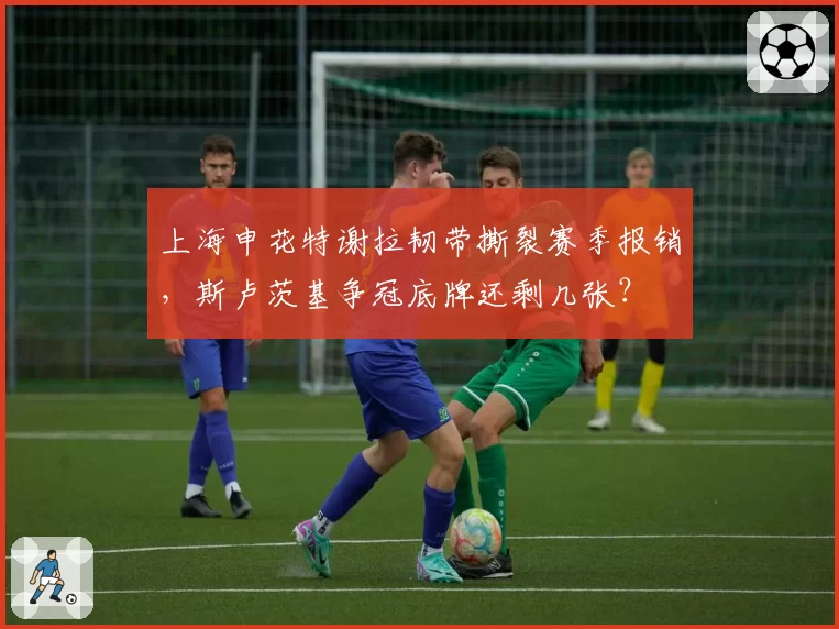上海申花特谢拉韧带撕裂赛季报销，斯卢茨基争冠底牌还剩几张？