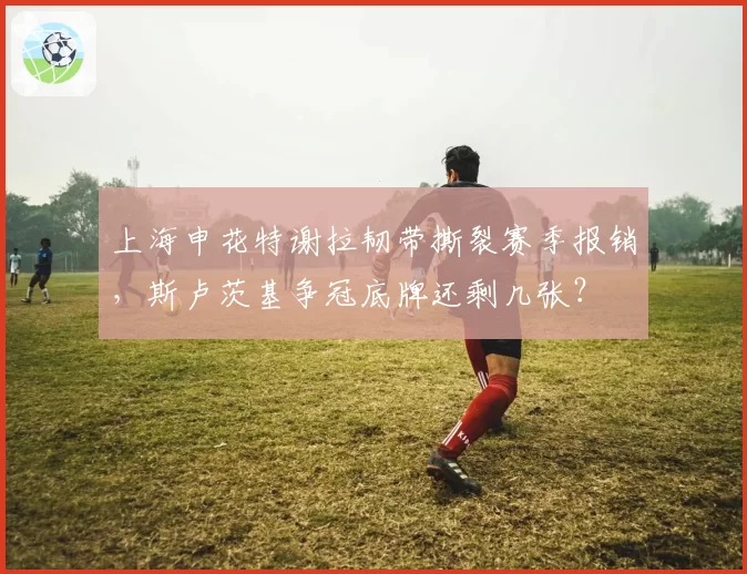 上海申花特谢拉韧带撕裂赛季报销，斯卢茨基争冠底牌还剩几张？